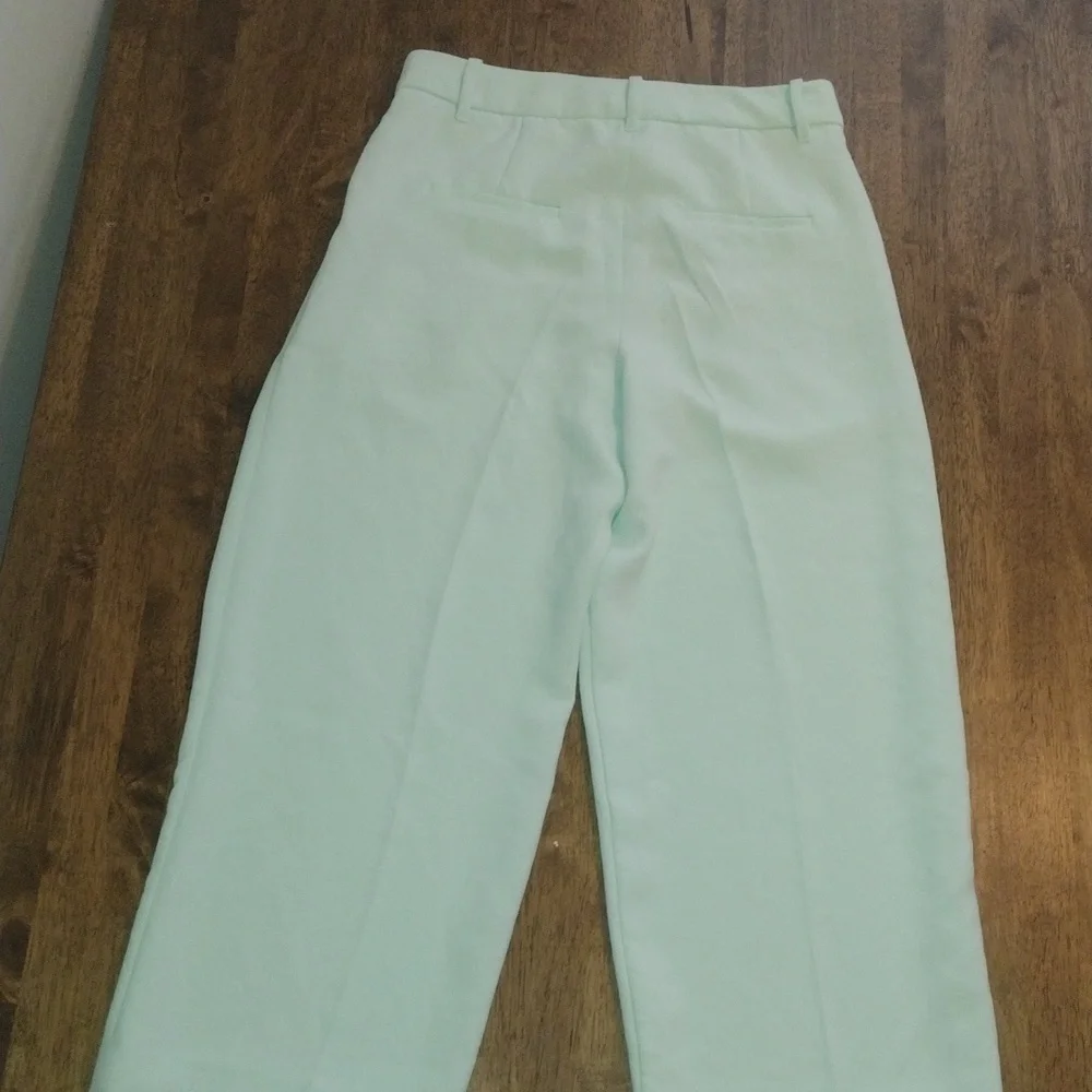 Wilfred Arizona Mint Green Ankle High Waisted Wide Leg Pleated Pant 8